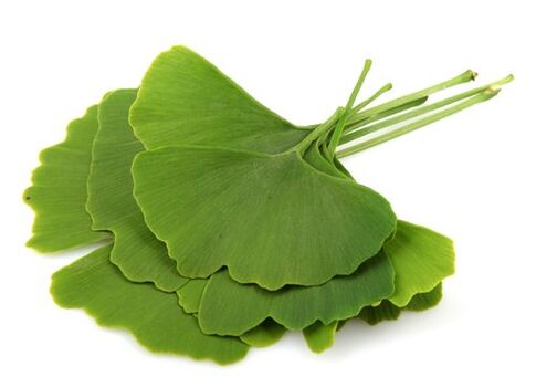 Varicone contains ginkgo biloba